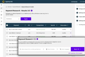 Squirrly SEO Dashboard